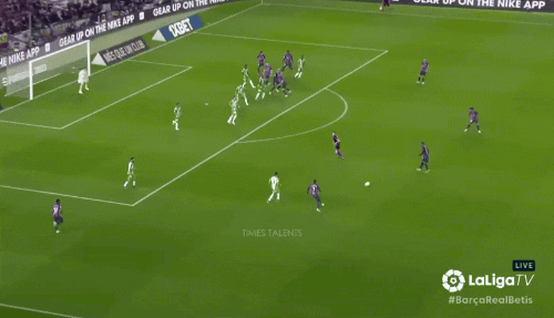 拉菲尼亚 拉菲尼亚