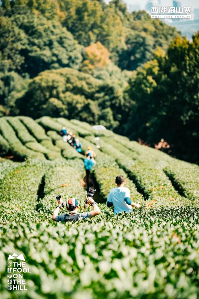 四大模块, 该服务包含, QteR 四大模块, 该服务包含, QteR