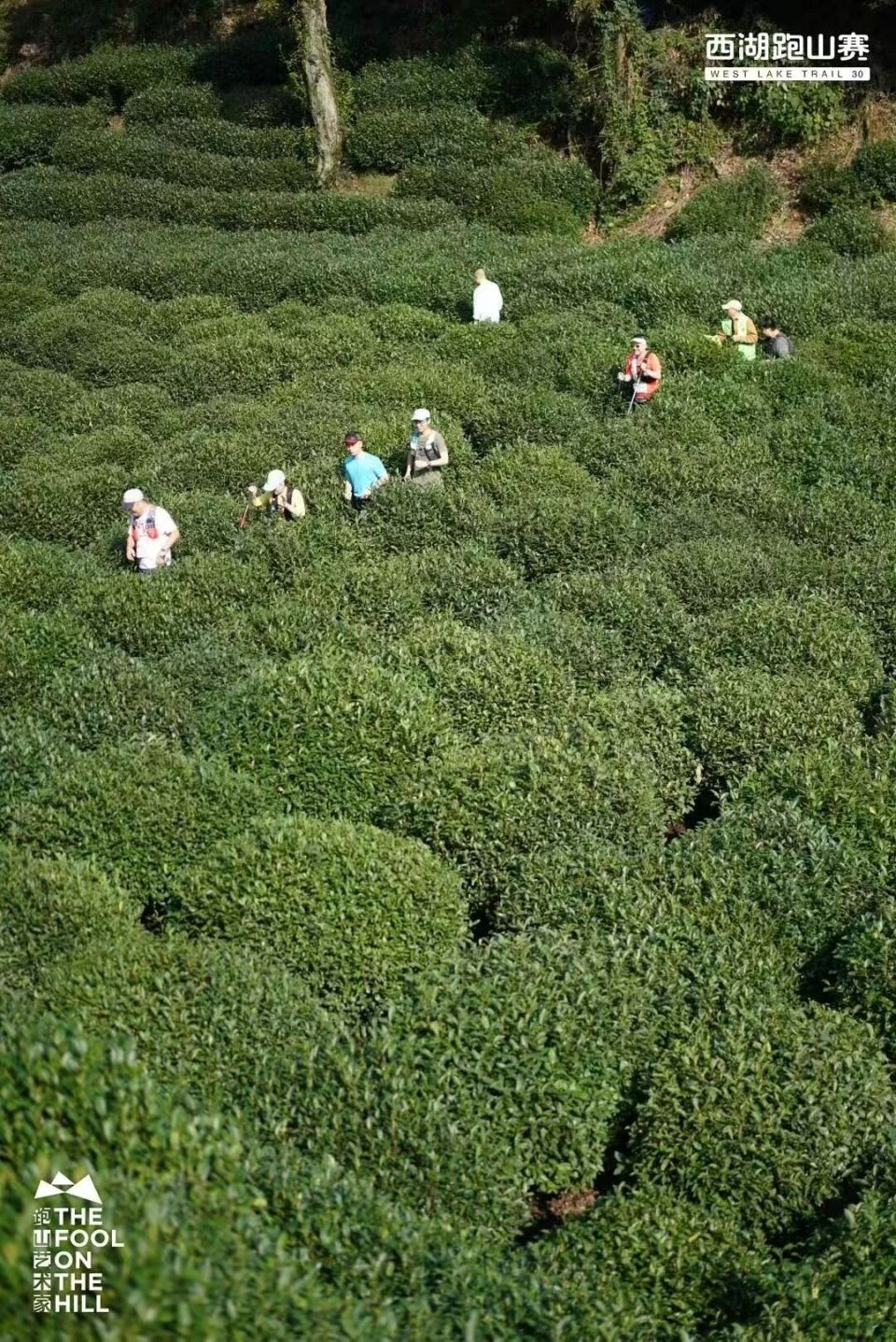 的创新模式, om 的创新模式, om