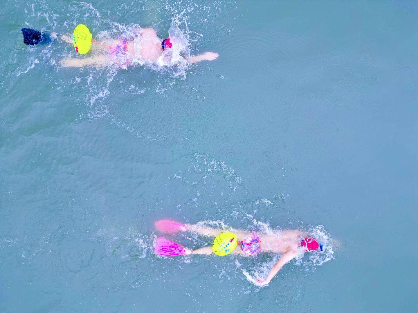 NpG, 古良驹 NpG, 古良驹